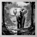 Search for black and white elephant art Safari