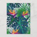 Search for tropical greenery postcards Foliage