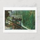 Search for shasta postcards River