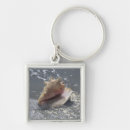 Search for florida seashells key rings Beach