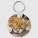 Search for sleeping cat key rings Baby