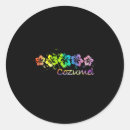 Search for go surf stickers Lets go brandon