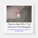 Search for napping magnets Dog
