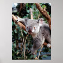 Search for bill art Australia