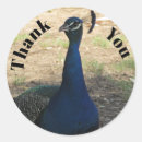 Search for vivid blue stickers Thank you