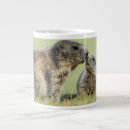 Search for marmot mugs Woodchuck
