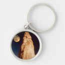 Search for eroded key rings Photography