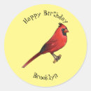 Search for red cardinal stickers Redbird