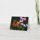 Search for winged note cards Butterfly