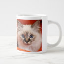 Search for one eye mugs Blue eyes