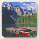 Search for canoe barware Forest