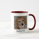 Search for cute and funny animal pictures mugs Pets