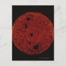 Search for red planet postcards Science