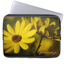 Search for october electronics Sunflowers