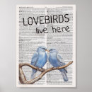 Search for lovebird posters Love birds