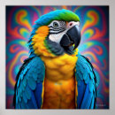 Search for colourful parrot posters Artistic
