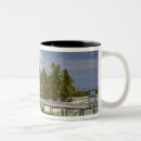 Search for island resort mugs Coast