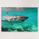 Search for great white shark puzzles Predator