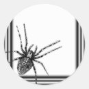 Search for tarantula stickers Black