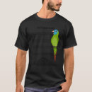 Search for blue parrot Silence