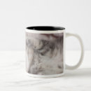 Search for tired animals mugs Sleeping