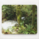 Search for rainforest mousepads Nature