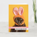 Search for funny easter cards Bunny