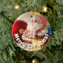 Search for summer santa christmas tree decorations Xmas