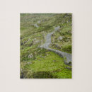 Search for lane puzzles Landscape