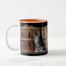 Search for kitten in a mugs Feline