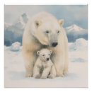 Search for polar bear posters Nature