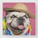 Search for english bulldog clocks Horizontal