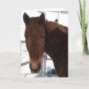 Search for equine invitations Cute