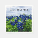 Search for bluebonnet crafts party Lone star state
