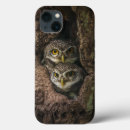 Search for bird s nest electronics Owl