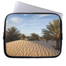 Search for douz Palm tree