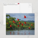 Search for tobago postcards Trinidad and tobago