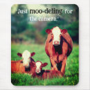 Search for funny cow mousepads Birthday