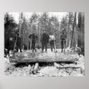 Search for logging photography Black and white