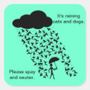 Search for spayed stickers Cats