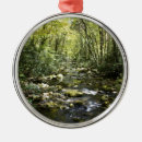 Search for great smoky mountains christmas tree decorations Forest