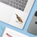 Search for marsh stickers Water