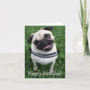 Search for pug birthday cards Humour