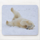Search for refuges mousepads Usa