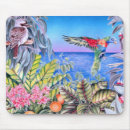 Search for kookaburra gifts Lorikeet