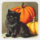 Search for vintage black cat stickers Spooky
