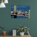 Search for pelican posters Wildlife