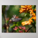 Search for hover posters Flying
