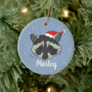 Search for racoons christmas tree decorations Cute animals