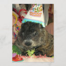 Search for groundhogs invitations Rodent